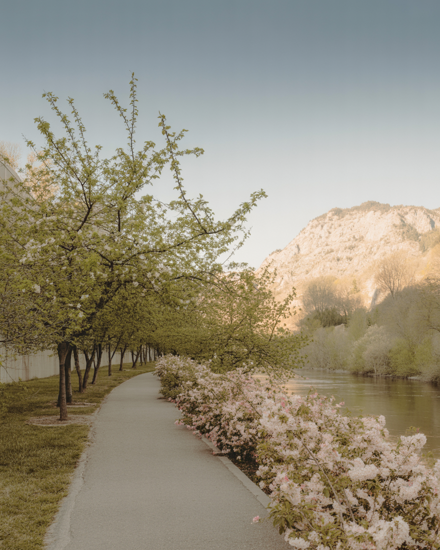 Scenic walking trail along a river with mature trees and mountain backdrop near Winchester Overlook